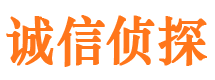 蜀山外遇出轨调查取证